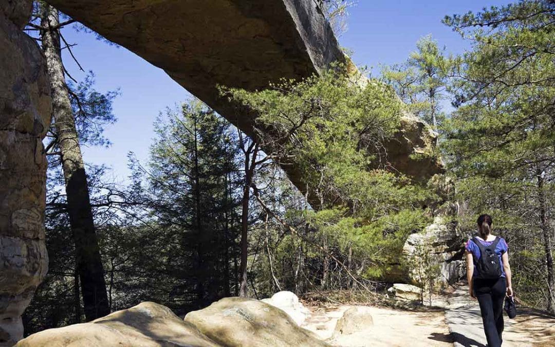 Visit Natural Bridge State Park