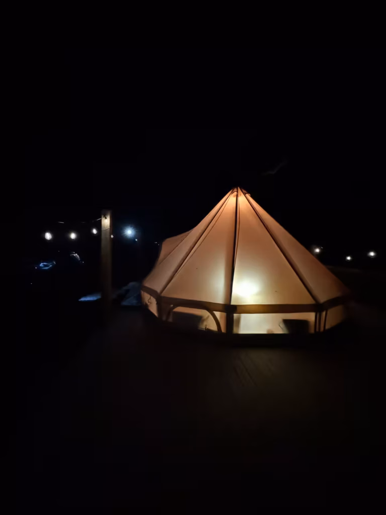 c9039c6b-6bf0-4520-950e-7fafa4ea3ed4